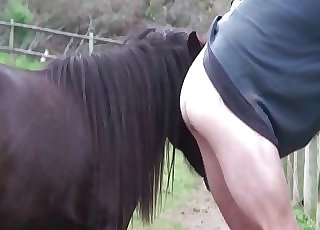 Dude fucked from behind by a horse