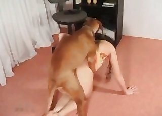 Dog Porn Tube