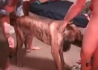 Sex with Animals for Free