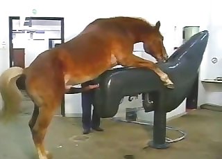 Horse cums a huge load in fucking machine