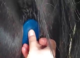 The asshole of this pony gets stimulated by a crank