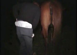 Dude penetrates horse's twat in the dark
