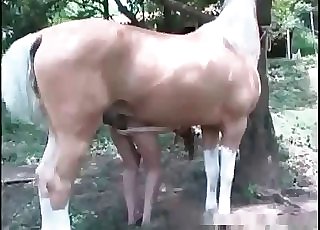 Jerking while leaning on a horse