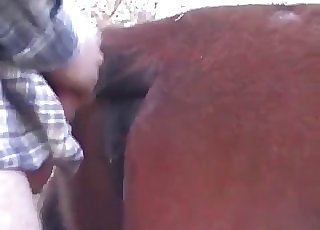 Chocolate-colored mare truly idolizes anal penetration