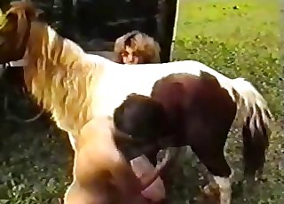 The big rock hard boner of this stallion is sucked by a blonde