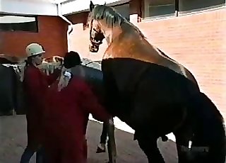 Cute jockey helps her horse to fuck right