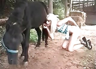 Ditzy whore with blonde hair sucks the wood of a stallion