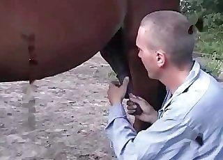 Torrid guy blowing a big-dicked horse