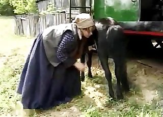 Small black pony sucked by farm zoofil