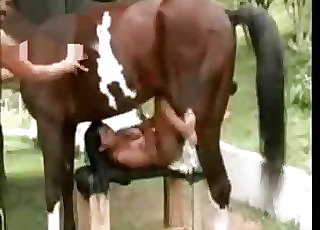 Wonderful bestiality porn compilation with horses