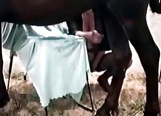 Full whore having some nasty fun with a brown pony