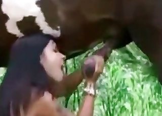 Superb blowjob for a gorgeous chocolate-colored stallion