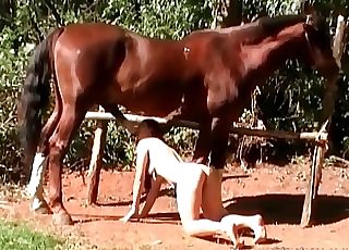 Zoophile sucking mare’s chocolate-colored cock