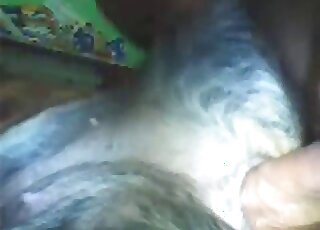 Nasty fuck scene round a guy who gapes a dog