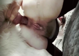 Bestiality sex with a good-looking blonde slut