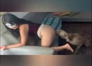 Nice tits MILF fucking herself added to the dogs