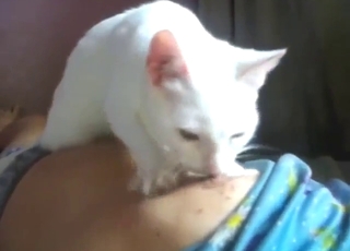 Kitty squeezing turn this way titty just for fun here