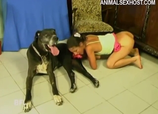 Colorfully dressed Latina shacking up a spicy dog