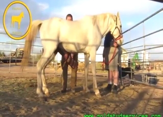 Everlastingly zoophile dreams be advantageous to this horse cock ragging