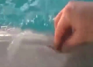 Guy is going to jack this dolphin retire from autocratic hard