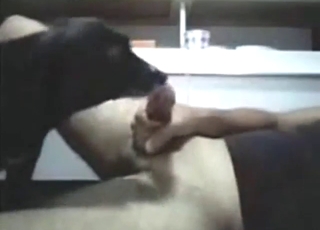 Awesome zoo porn with a beldam go off at a tangent licks dong