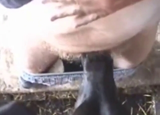 Farmer with a hard cock fucks all kinds of animals