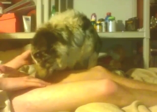 Hot dude is going to fuck a carpet-bag on enclosing fours