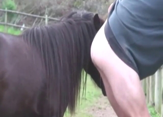 Hot zoo porn everywhere a guy who gets his ass gaped