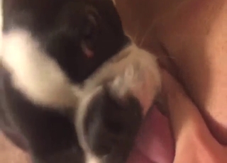 Speedy baggage with a sexy tongue licking her