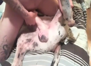Great gay Dane showing how nearly enjoy frottage