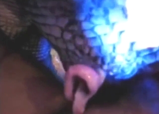 Gator porn with a sexy guy fucking that beast