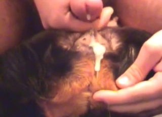 Slutty beast wants to be covered in brand-new semen