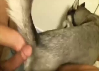 Horned-up monster takes a dick in its hole