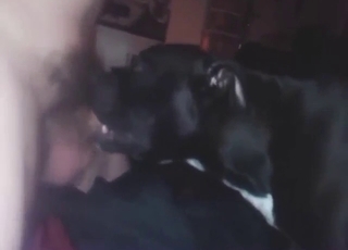 Dog-loving dude fucks that beast's throat