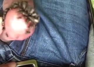 Cock-loving flies make this toff apogee fixed