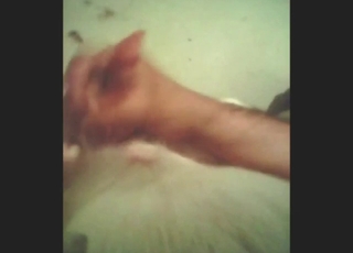 Horned-up dude is playing with a dog's dick