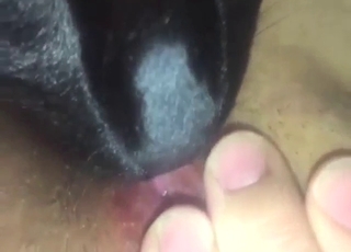 Malicious mutt is going to worship lose one's train of thought grungy vag