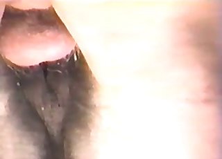 Big horse in the close-up shot - Horse Zoofilia Tube