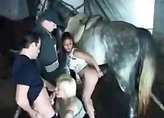 Horse gets all the pussy - Horse Zoofilia Tube