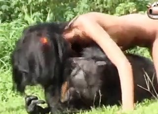 Ape Fucks Woman